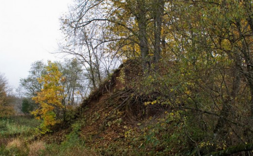 15_Avižlio atragis.jpg